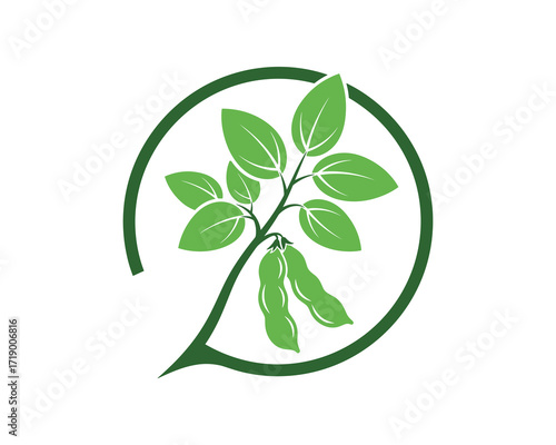 Green Soybeans Plant with Leaves in Circle Vector