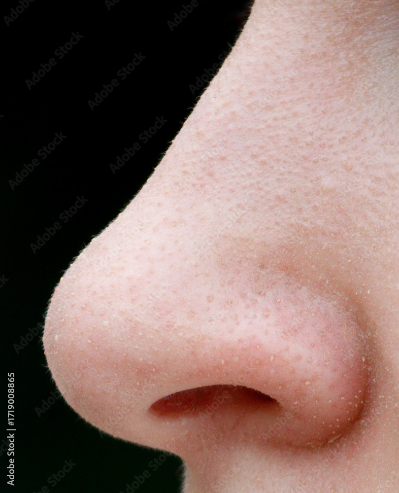 Fototapeta premium A person's nose is very prominent in the image