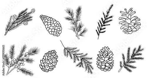 Set of fir branches and pine cones line art vector botanical illustrations. Winter greenery hand drawn black ink sketches collection. Modern design for Christmas greeting cards, background, banners