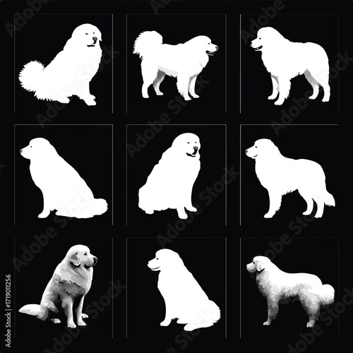 Collection of great pyrenees dog breed silhouettes in various poses isolated on white background