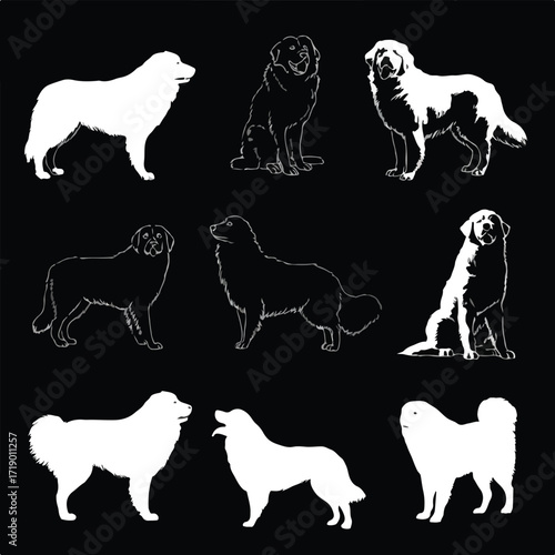 Collection of great pyrenees dog silhouettes in various poses isolated on white background