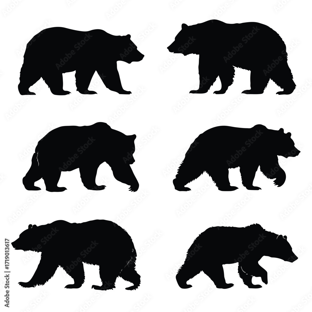 Fototapeta premium Collection of grizzly bear silhouettes in various poses isolated on white background