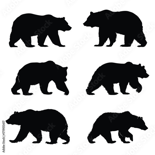 Collection of grizzly bear silhouettes in various poses isolated on white background