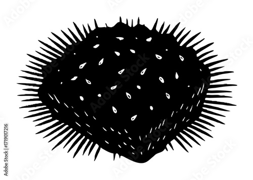 Hash Brown Silhouette, Crispy Potato Breakfast SVG, PNG