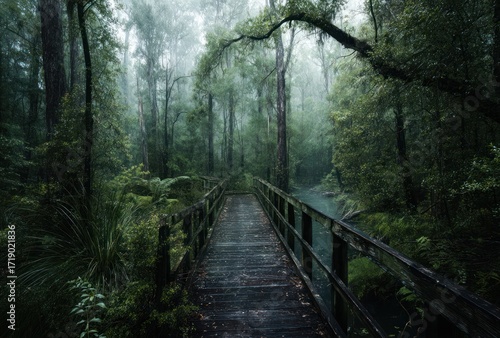 A wooden bridge over a small stream in a dense forest with lush greenery and mist in the air, creating a serene and calming scene