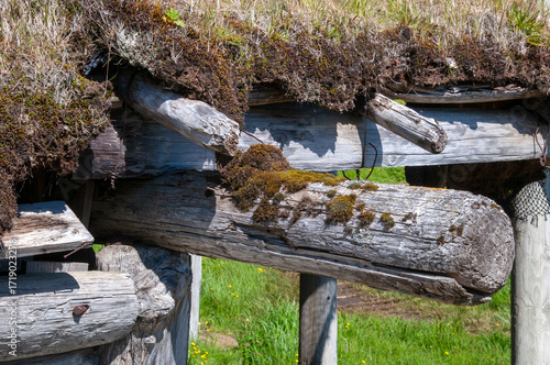 Stokksnes Iceland, close-up of moss and turf on wooden structure