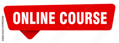 online course red sticker isolated on transpatent background. online course sign
