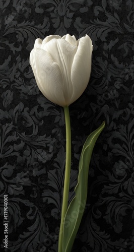 Wallpaper Mural Elegant white tulip on dark patterned backdrop Torontodigital.ca