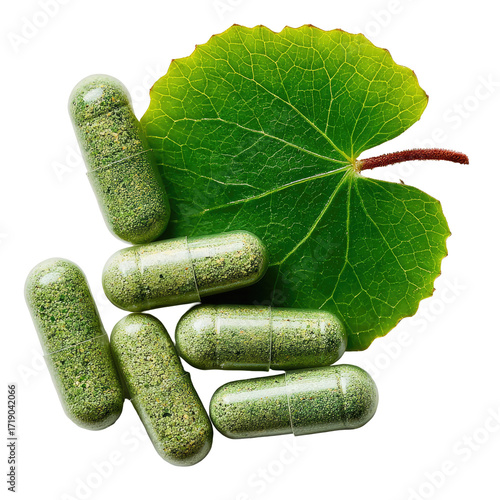 Green capsules clustered atop a vibrant leaf