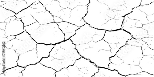 High resolution cracked dry earth texture, natural pattern background with white surface and dark fractures, abstract cracked ground design ideal for wall texture, grunge backdrop, or digital use.