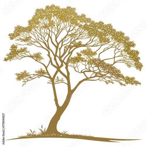 golden rain tree vector