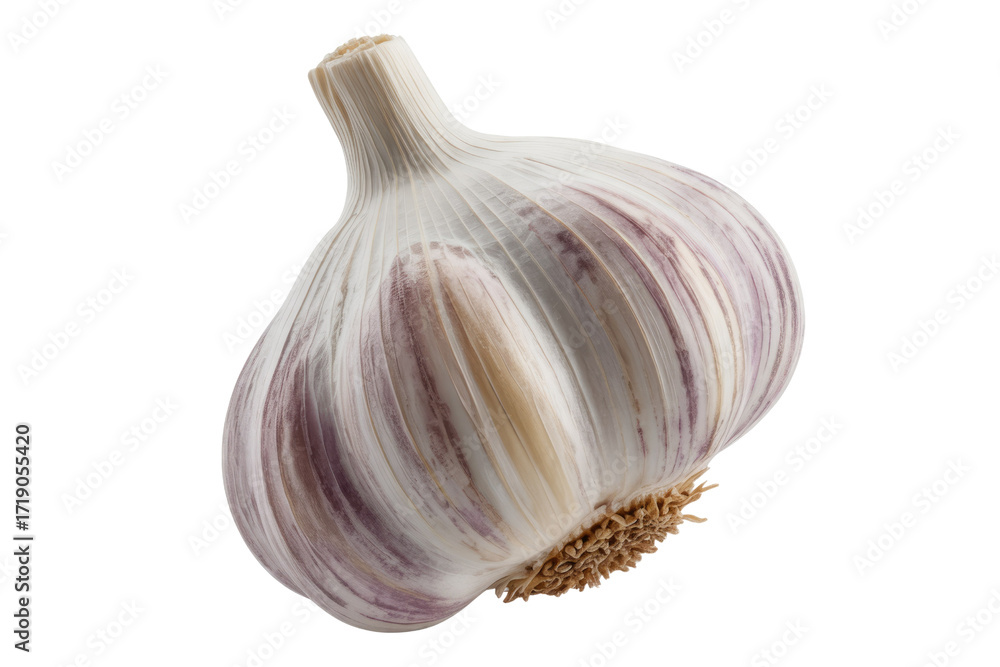 Obraz premium A single bulb of garlic, isolated on a transparent background, showcasing its detailed texture and purplish hues. background removed