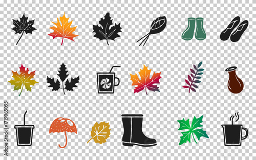 Colorful collection of autumn leaves and seasonal items illustrating nature and outdoor activities