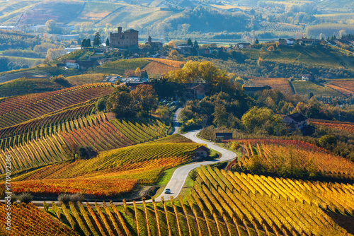 Road through colorful autumnal vineyards in Italy.