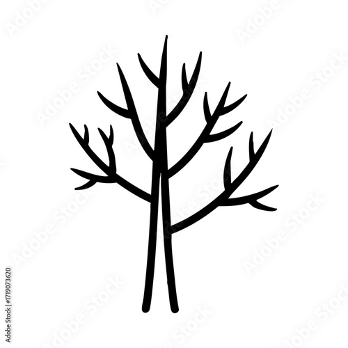Silhouette of a bare branched tree