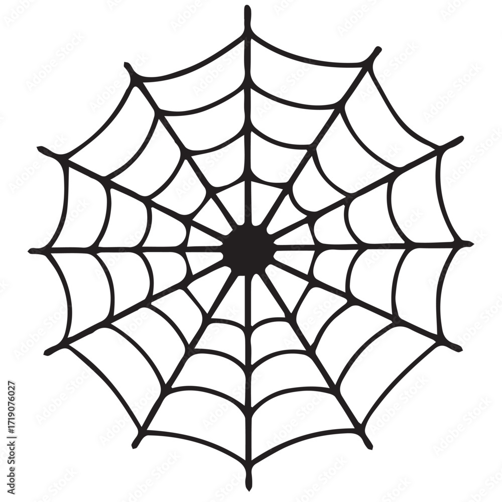 Fototapeta premium spider web vector