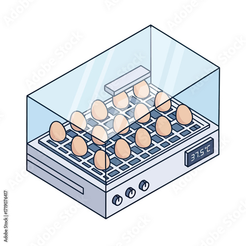 Modern incubator safely hatches multiple eggs, displaying precise temperature for optimal chick development and agricultural science breakthroughs.