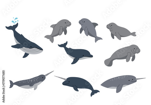 A collection of diverse marine mammals including whales dolphins manatees and narwhals