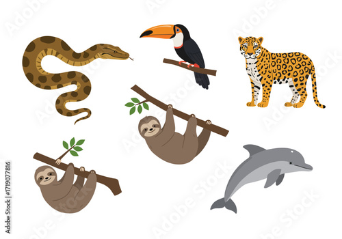 Animals include a snake toucan jaguar two sloths and dolphin against a white background