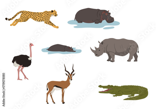 Collection of African animals cheetah hippos rhino ostrich gazelle and crocodile