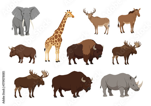 Collection of 10 diverse wild animals including an elephant giraffe and rhino