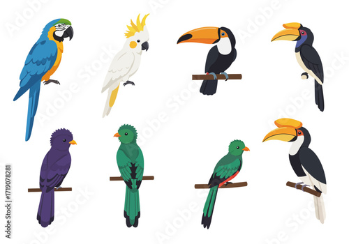 Eight vibrant birds including toucans parrots and quetzals are arranged in two rows on a white backdrop