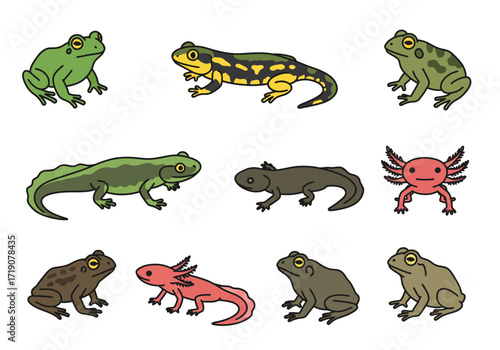 Nine amphibian illustrations frogs salamanders and axolotls presented in various colors and poses