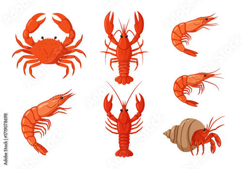 Seafood collection crab crawfish shrimp  hermit crab in a shell