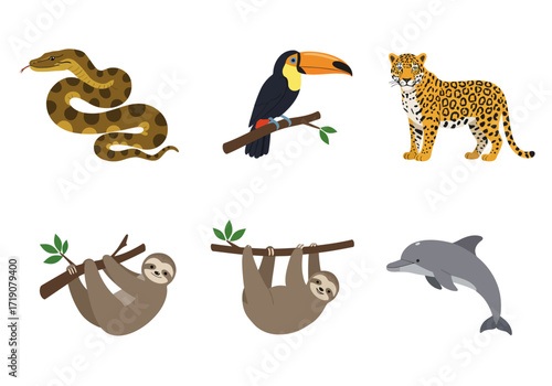 Six distinct animals are displayed on a white background in two rows