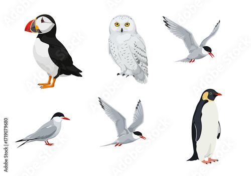 Six various bird species are displayed on a white background