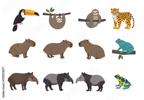 Twelve cartoon rainforest animals toucan sloths jaguars capybaras tapirs and poison dart frogs on a white background
