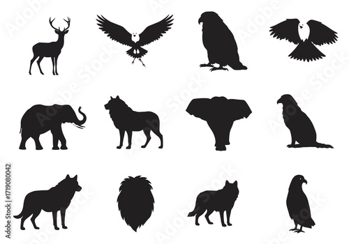 Twelve silhouette images of diverse animals including birds a deer a wolf and elephants arranged in a grid pattern