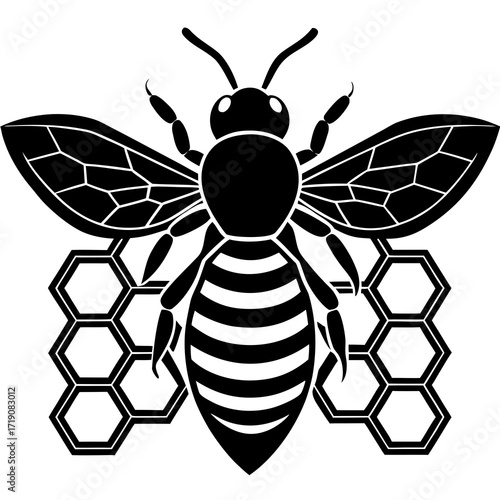 bee and honey