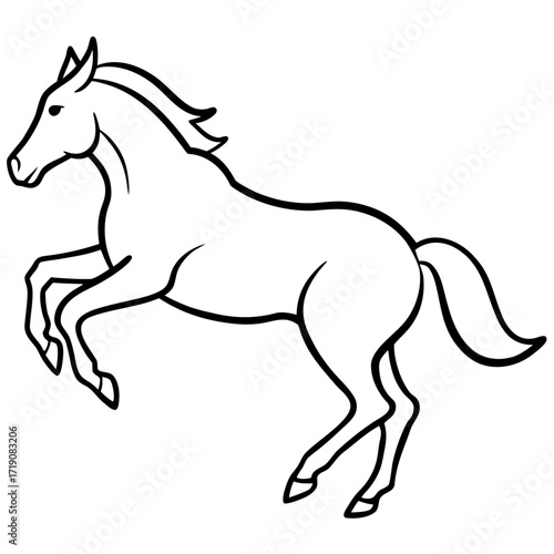 horse vector illustration