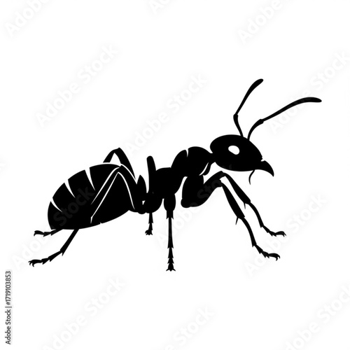 Vector art of black ant silhouette