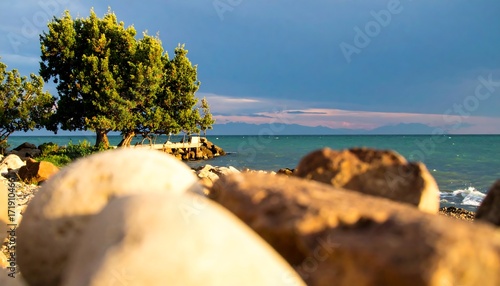Coastal landscape with rocks and trees