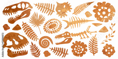 Collection of dinosaur skeletons and fossils in warm earthy tones on a white background