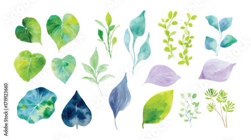 A collection of watercolor leaves in various shapes and shades of green and purple isolated on white background