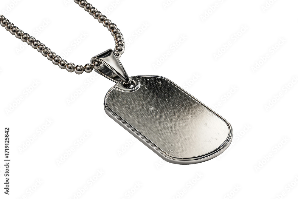 Fototapeta premium Metal dog tag pendant on chain (1)