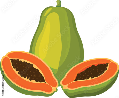 Vibrant ripe papaya fruit cut halved tropical exotic ingredient healthy food vector