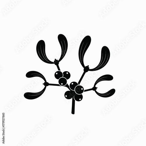 A Twig of Mistletoe with Berries A Symbol of Holiday Romance and Winter Traditions