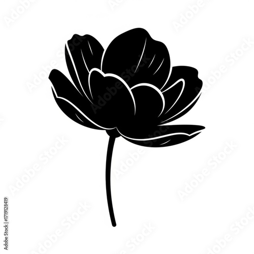 Black and White Flower Silhouette