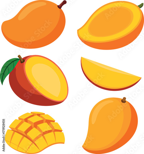 Vibrant mango collection fresh ripe fruit slices and halves isolated vector