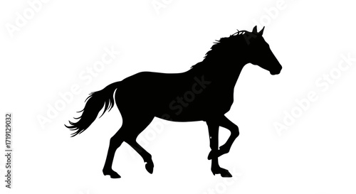 A black horse silhouette strides