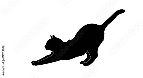 A black silhouette of a cat stretching with its front leg extended and its tail raised