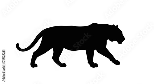 A black silhouette of a panther is walking across a white background