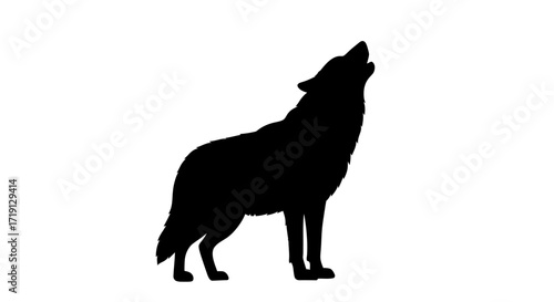 A black silhouette of a wolf howling with its head raised standing against a white background