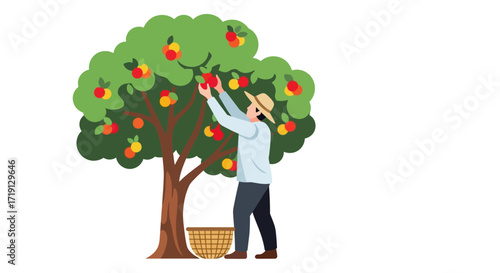 A person wearing a hat is picking red apples from a lush green apple tree, with a woven basket on the ground.