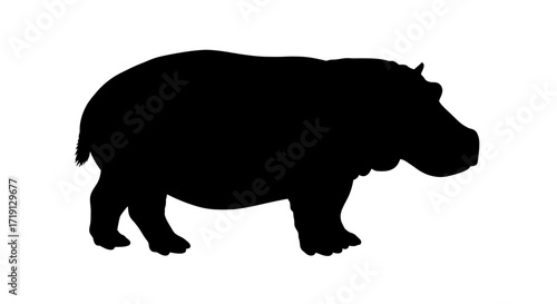 A solid black silhouette of a hippopotamus standing against a white background