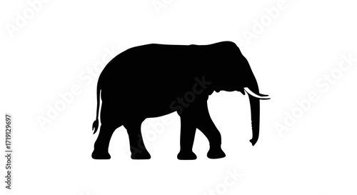 A solid black silhouette of an elephant with tusks and a tail is depicted on a white background